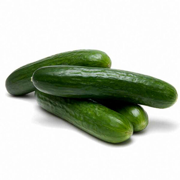 Gurķi PHARO F1 9 gab Sakata