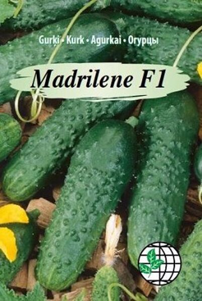 Gurķi Madrilene F1 12 gab Agrimatco