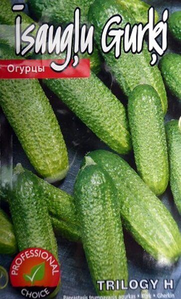 Gurķi TRILOGY F1 15 gab Kurzemes Sēklas (P) (Sēklu ražotājs "Rijk Zwaan")