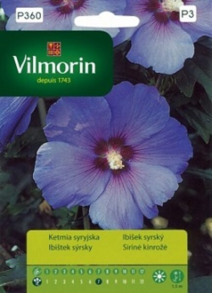 Sīrijas hibisks 500 mg Vilmorin