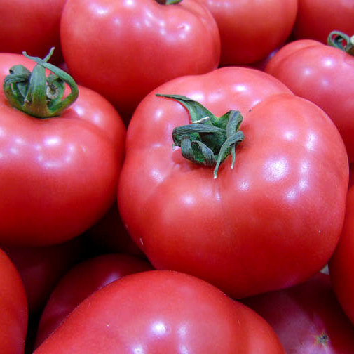 Tomāti HTP 11 F1  5 gab Hazera