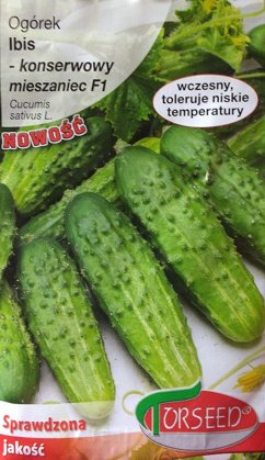 Gurķi IBIS F1 5 g Torseed