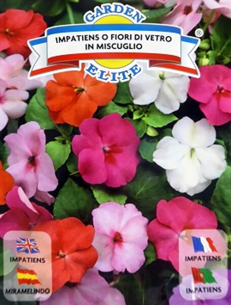  Balzamīnes O Fior Di Vetro MIX 0.15 g Galassi Sementi