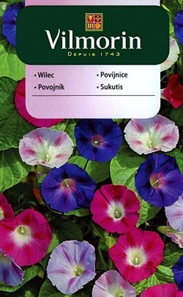 Purpura ipomeja MIX 5 g Vilmorin