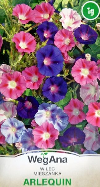 Purpura ipomeja ARLEQUIN 1 g WegAna