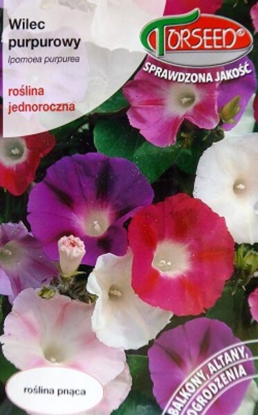 Purpura ipomeja MIX 5 g Torseed