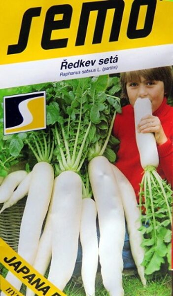 Redīsi JAPANA F1 4 g Semo