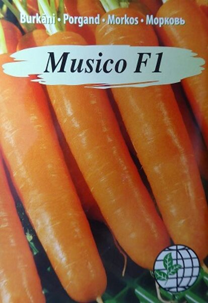 Burkāni Musico F1 0.5 g Agrimatco A.P.