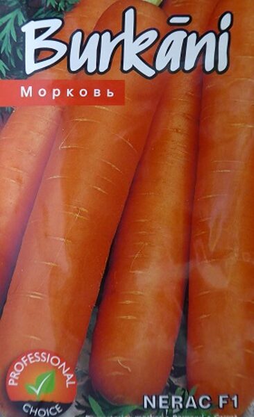 Burkāni Nerac F1 1g Kurzemes Sēklas A.P.