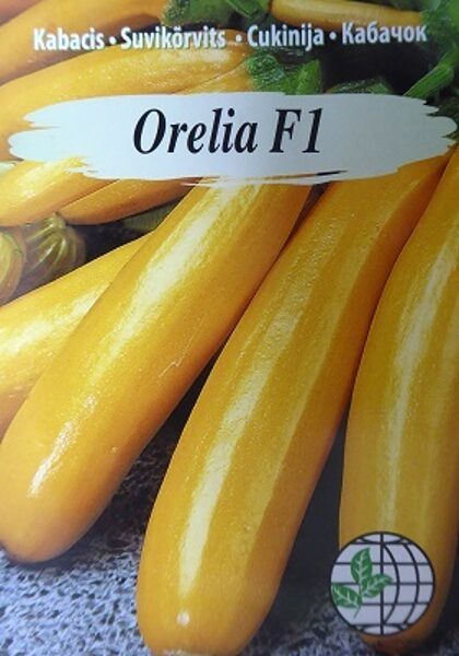 Kabacis Orelia F1  5 gab Agrimatco