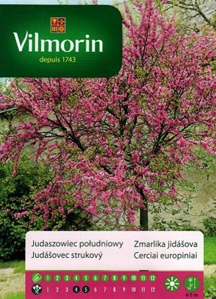Dienvidu jūdaskoks 1 g Vilmorin