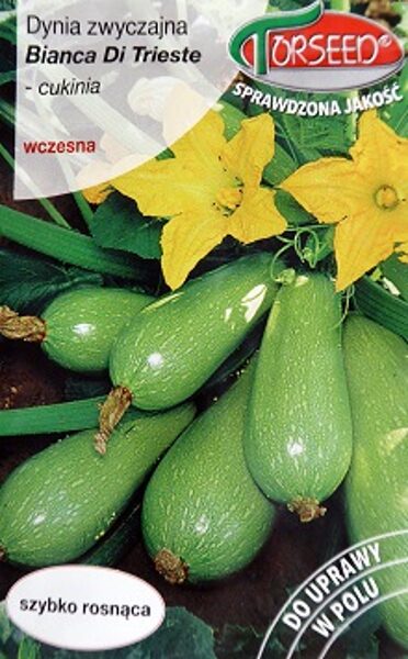 Kabacis Bianca di Trieste 2 g Torseed