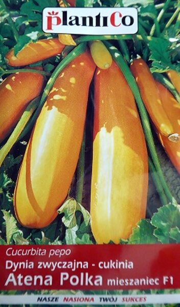 Kabacis Atena Polka F1 2 g PlantiCo