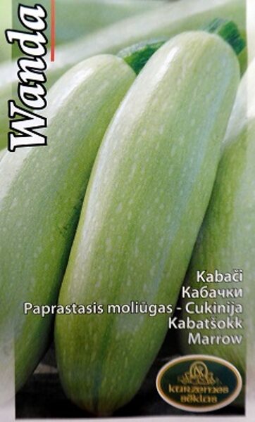 Kabacis WANDA 1 g Kurzemes Sēklas