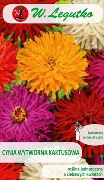 Cinnijas krizantēmu KAKTUSOWA MIX 1 g W.Legutko