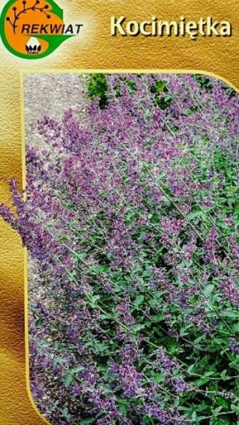  Musina jeb ķekarainā kaķumētra 0.5 g Rekwiat