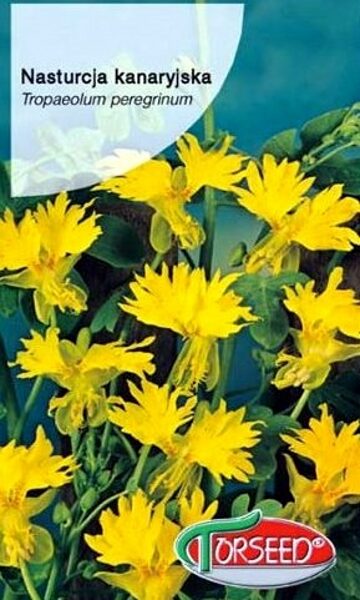 Spārnainā tunbergija (krese) 2 g Torseed