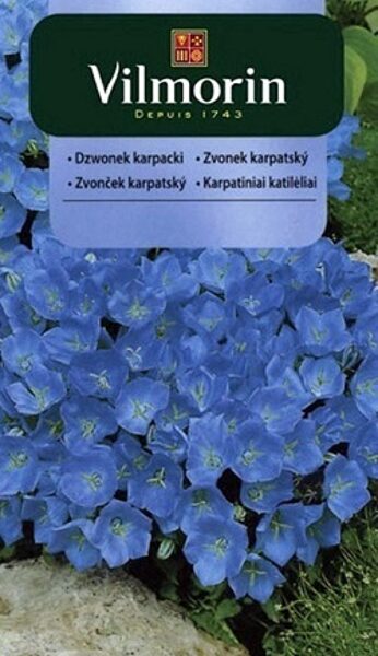 Karpatu pulkstenīte 500 mg Vilmorin