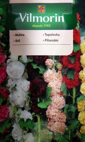 Kāršrozes MIX 1 g Vilmorin