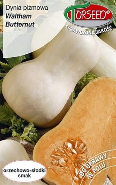 Ķirbji sviesta WALTHAM BUTTERNUT 3 g Torseed
