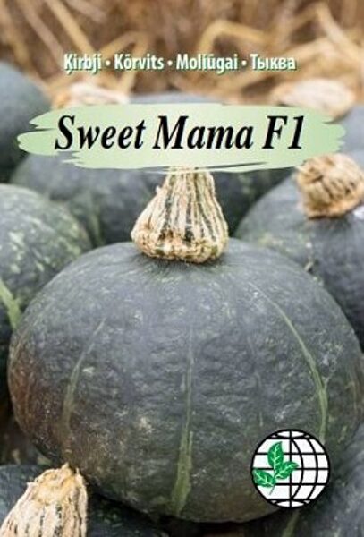 Ķirbji SWEET MAMA F1 5 gab AGRIMATCO