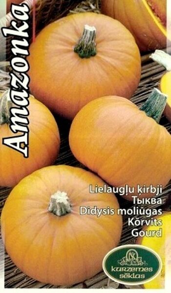 Ķirbji AMAZONKA 1 g Kurzemes Sēklas