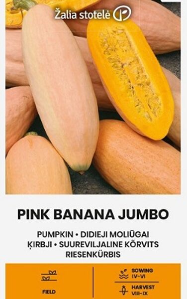 Ķirbji PINK BANANA JUMBO 2 g Žalia stotelė