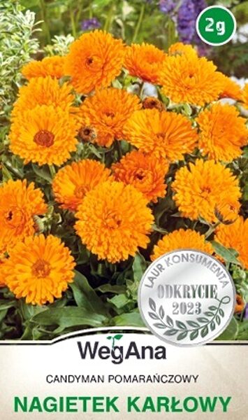 Kliņģerīte Candyman oranža 2 g WegAna