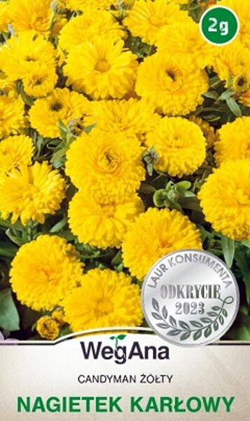 Kliņģerīte Candyman dzeltena 2 g WegAna