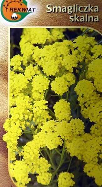 Klinšu alise dzeltena 0.5 g Rekwiat