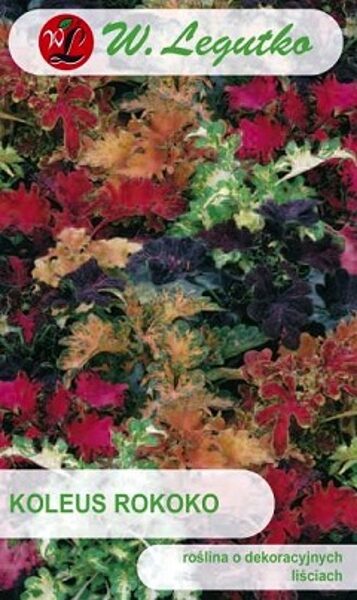 Koleus (Skaistnātrīte) ROKOKO MIX 0.02 g W.Legutko