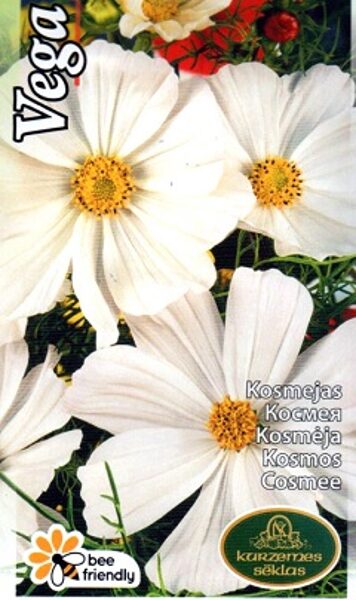 Divplūksnu kosmejas VEGA baltas 1 g Kurzemes sēklas 
