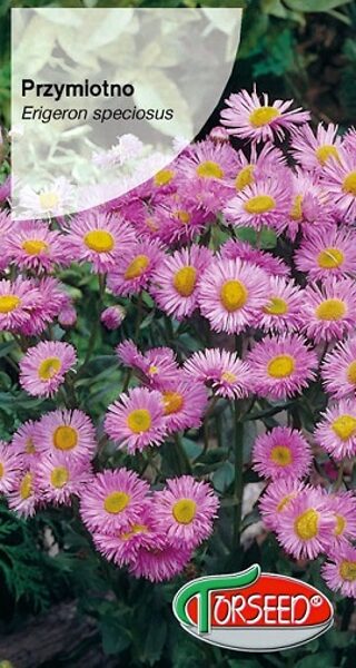 Krāšņais jānītis Pink Jewel - rozā  0.5 g Torseed