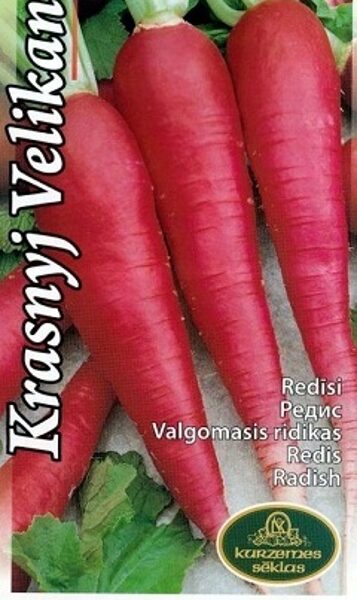 Redīsi Krasyj Velikan 3 g Kurzemes Sēklas 