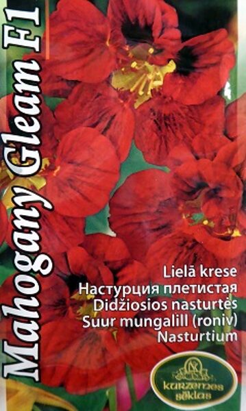 Krese lielā Mahogany Gleam F1 3 g Kurzemes Sēklas