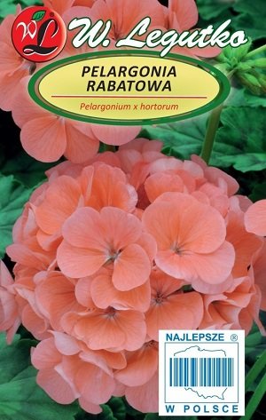 Pelargonija dārza Gama F1 laša krāsa 0.05 g W.Legutko