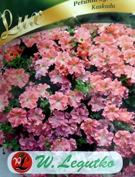 Petūnijas nokarenās Kaskada laškrāsas  0.02 W.Legutko