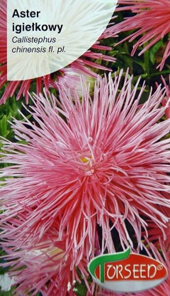 Asteres ķīnas adatainās laša krāsa 0.5 g Torseed  A.P.