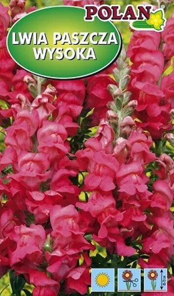 Lielās lauvmutītes TEMPLE rozā 0.5 g Polan