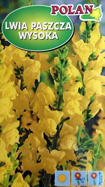 Lielās lauvmutītes dzeltenas 0.5 g Polan