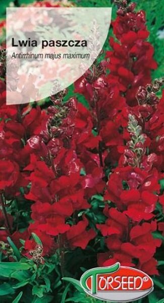 Lielās lauvmutītes karmīnsarkanas 1 g Torseed