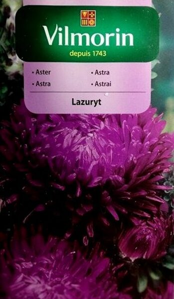 Asteres ķīnas peoniju LAZURIT 500 mg Vilmorin