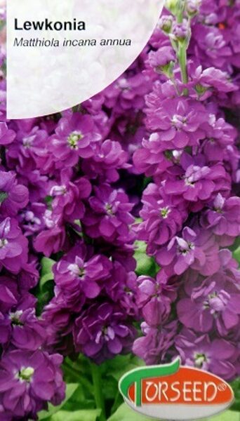 Lefkoja violeta/plūmju sarkana Juka-EXC 100 % 0.5 g Torseed