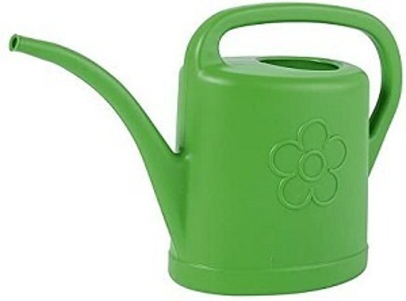 LEJKANNA ZAĻA ar uzgali un ziedu motīvu 2 LITRI  1 gab 