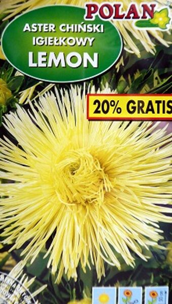 Asteres ķīnas adatainās LEMON 1.2  g POLAN A.P.