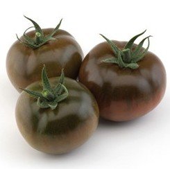 Tomāti LEYENDA F1 3 gab Yuksel Seeds