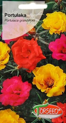 Lielziedu portulaka MIX 0.5 g Torseed