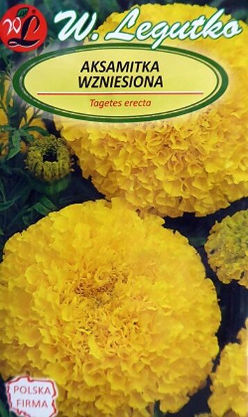 Samtenes augstās dzeltenas 1 g W.Legutko A.P.