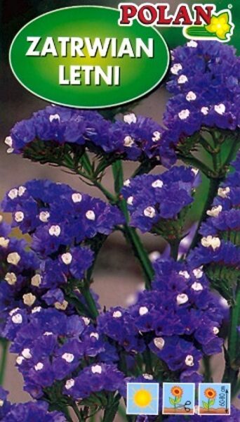 Jomainā limonija WREBNY ZILA 500 mg POLAN