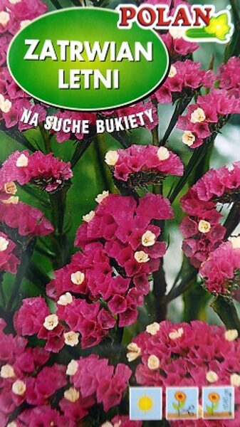 Jomainā limonija WREBNY PURPUROWY 500 mg POLAN